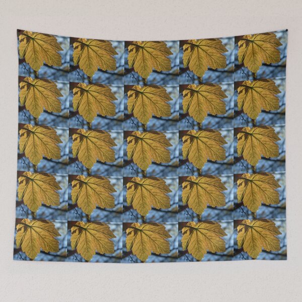 Item preview, TRANSLUCENT SYCAMORE LEAF designed and sold by Richard Brookes Photography.