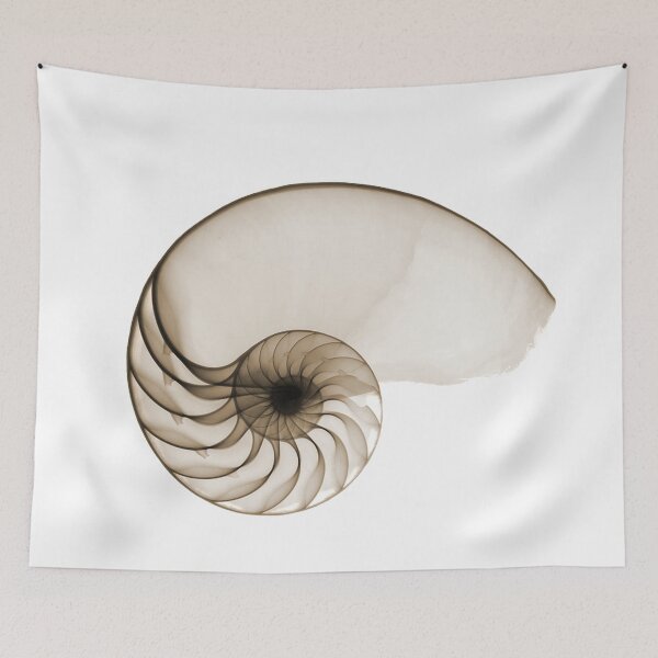 Item preview,  Sepia Seashell designed and sold by hamptonstyle.