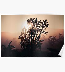 Joshua Trees bei Sonnenaufgang Poster