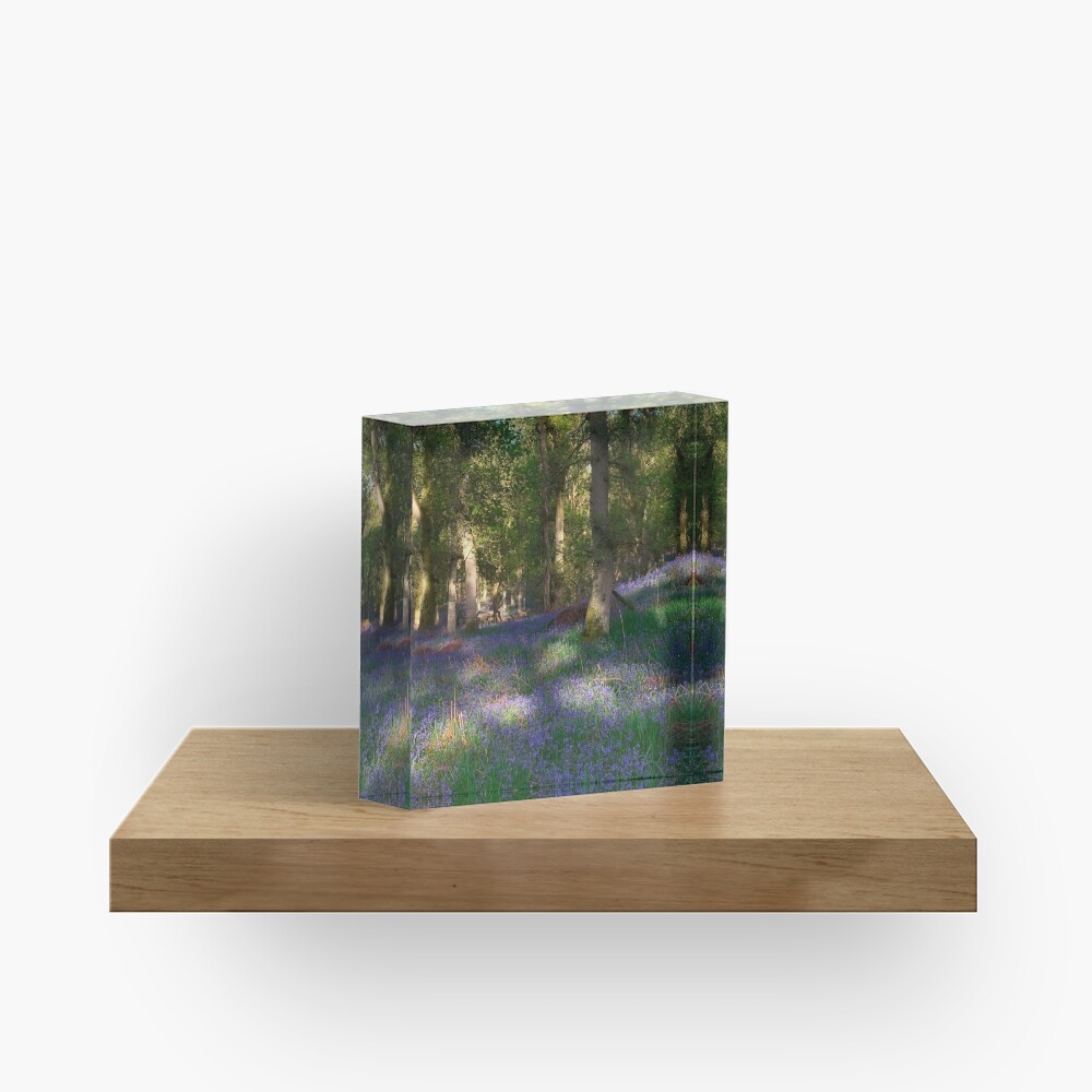 Item preview, Acrylic Block designed and sold by ShinyPhoto.