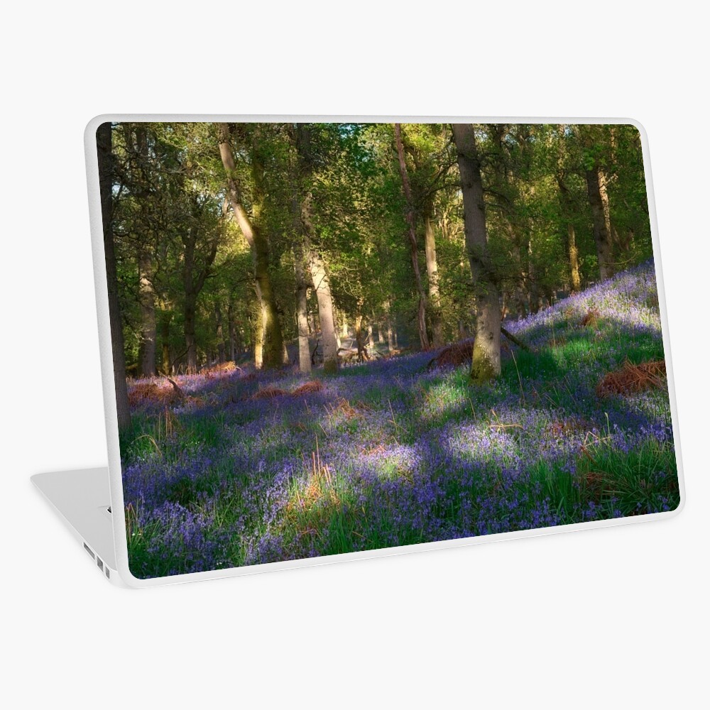Item preview, Laptop Skin designed and sold by ShinyPhoto.