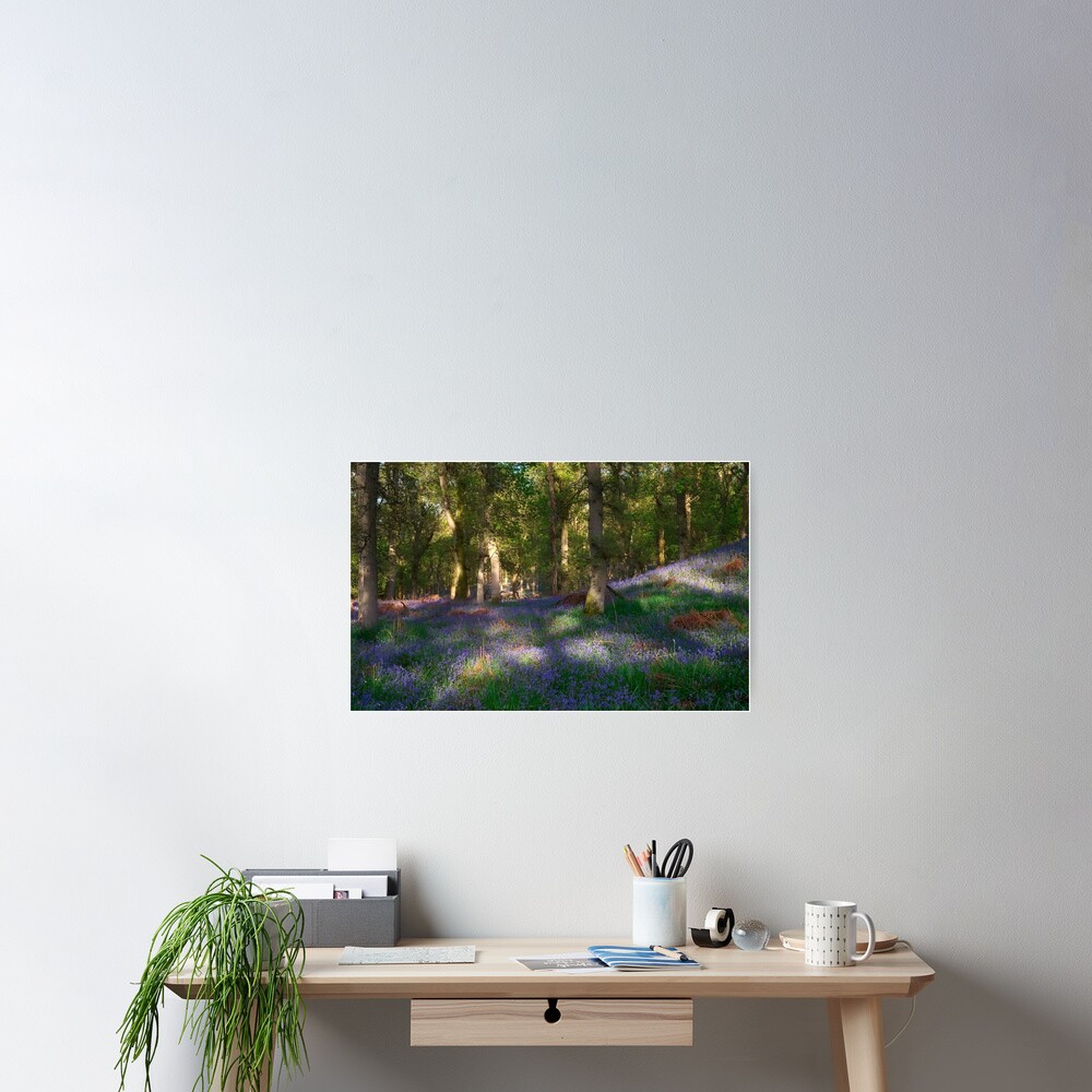Item preview, Poster designed and sold by ShinyPhoto.