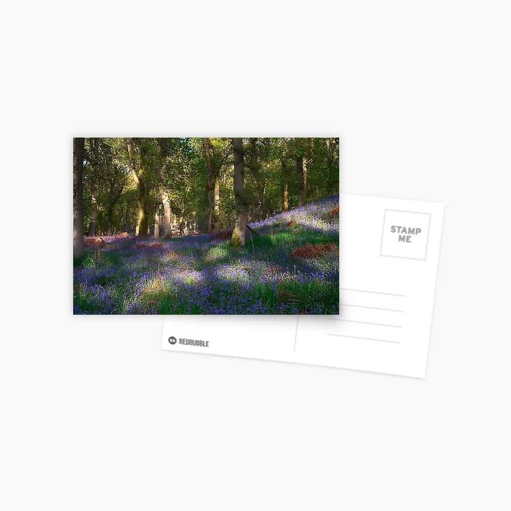 Item preview, Postcard designed and sold by ShinyPhoto.