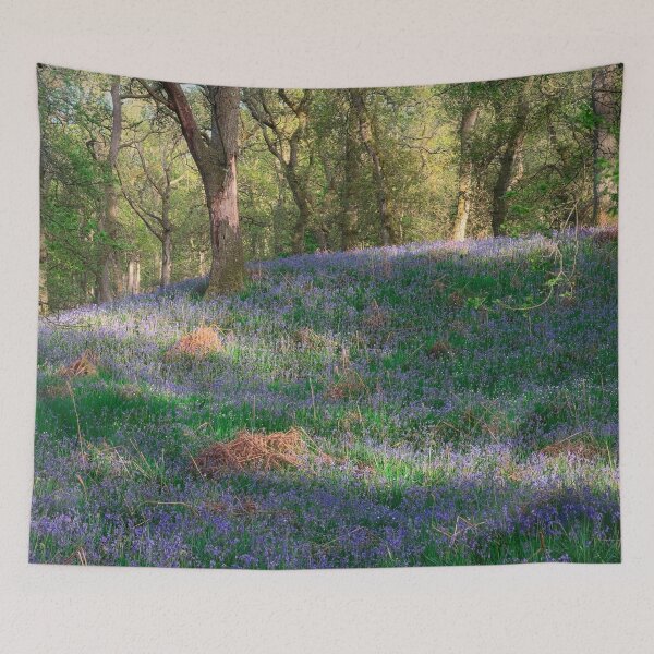 Item preview, Dappled Light (2) designed and sold by ShinyPhoto.