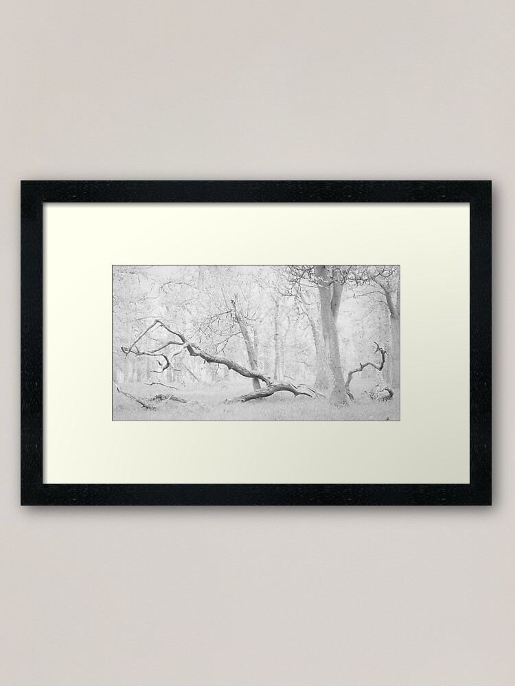 Alternate view of Bluebell Woods, Minus Blue Framed Art Print