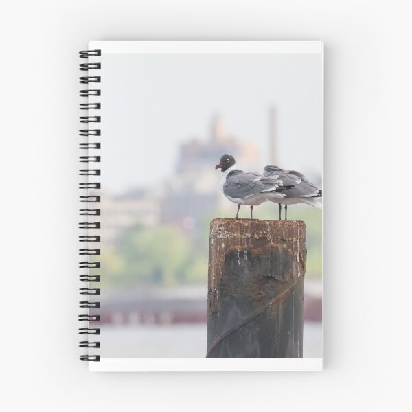 Item preview, Laughing Gull designed and sold by LaurenTucker.