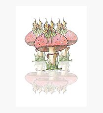 Dainty Fairies Sat on Toadstools Photographic Print