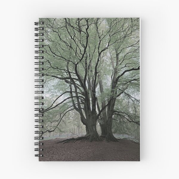 Item preview, Under the Beeches designed and sold by ShinyPhoto.