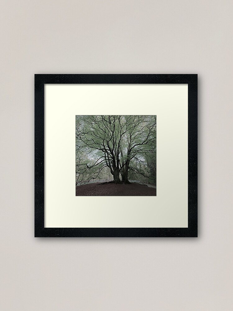 Framed Art Print, Under the Beeches designed and sold by ShinyPhoto