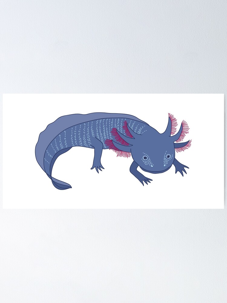 Mexican Axolotl Or Walking Fish In Blue Poster By Bokasana Redbubble