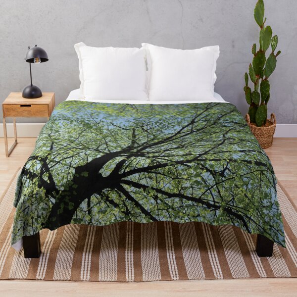 Item preview, Boston Common - Once Upon a Time in Massachusetts designed and sold by fimbisdesigns.