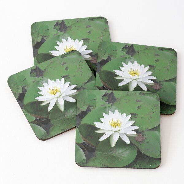 Item preview, white lily in a sea of green designed and sold by KensLensDesigns.