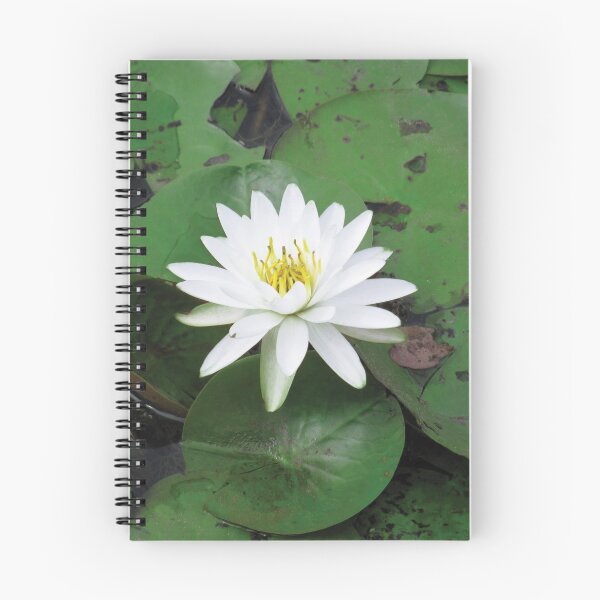 Item preview, white lily in a sea of green designed and sold by KensLensDesigns.