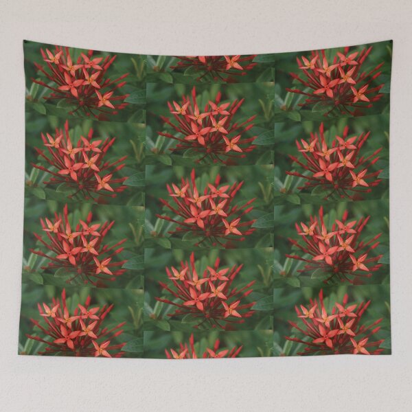 Item preview, red in a sea of green designed and sold by KensLensDesigns.