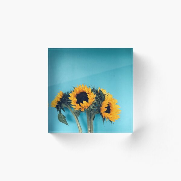 Sunflowers Acrylic Block