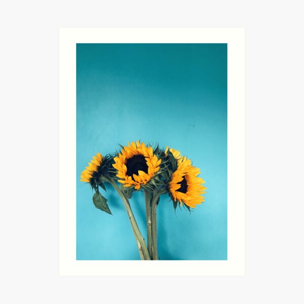 Sunflowers Art Print