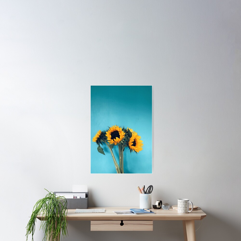 Sunflowers Poster