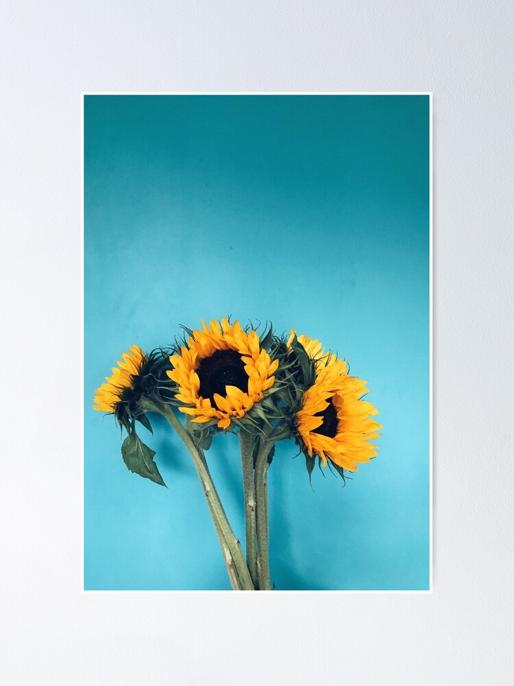 Alternate view of Sunflowers Poster