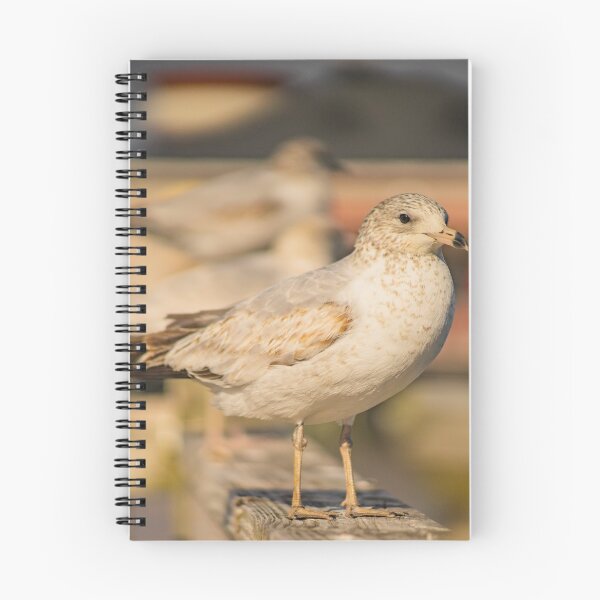 Item preview, Portrait of Gull designed and sold by KensLensDesigns.