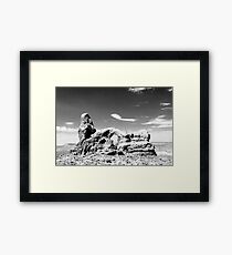 Arches National Park Framed Print