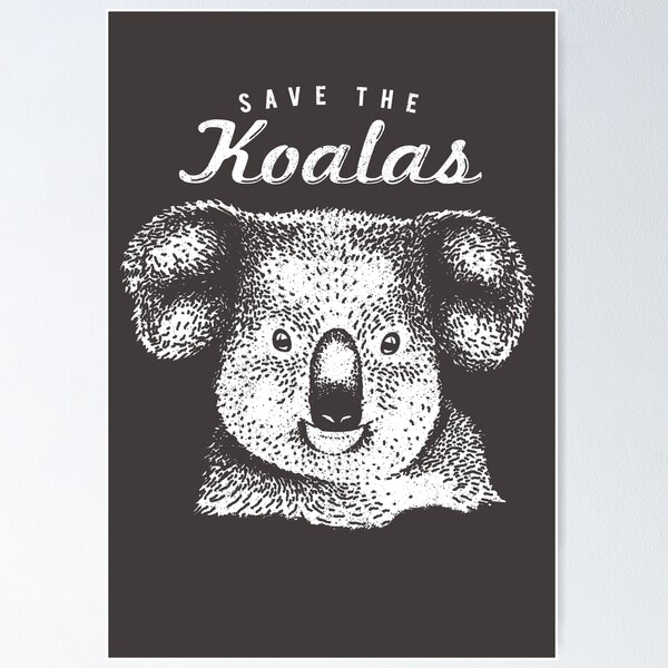 Koala Gift for Boys - This Boy Loves Koalas Greeting Card for Sale by  Bangtees