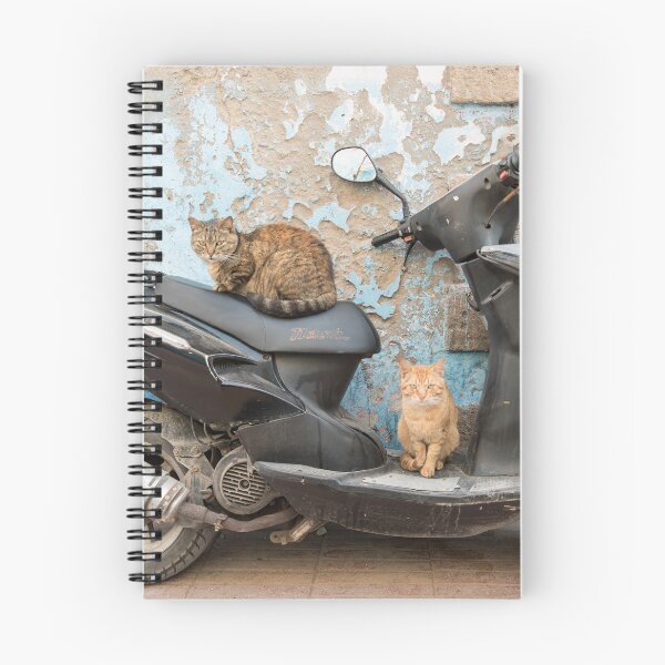 Item preview, Los gatos de Essaouira II - Marruecos designed and sold by TRVLR Designs.