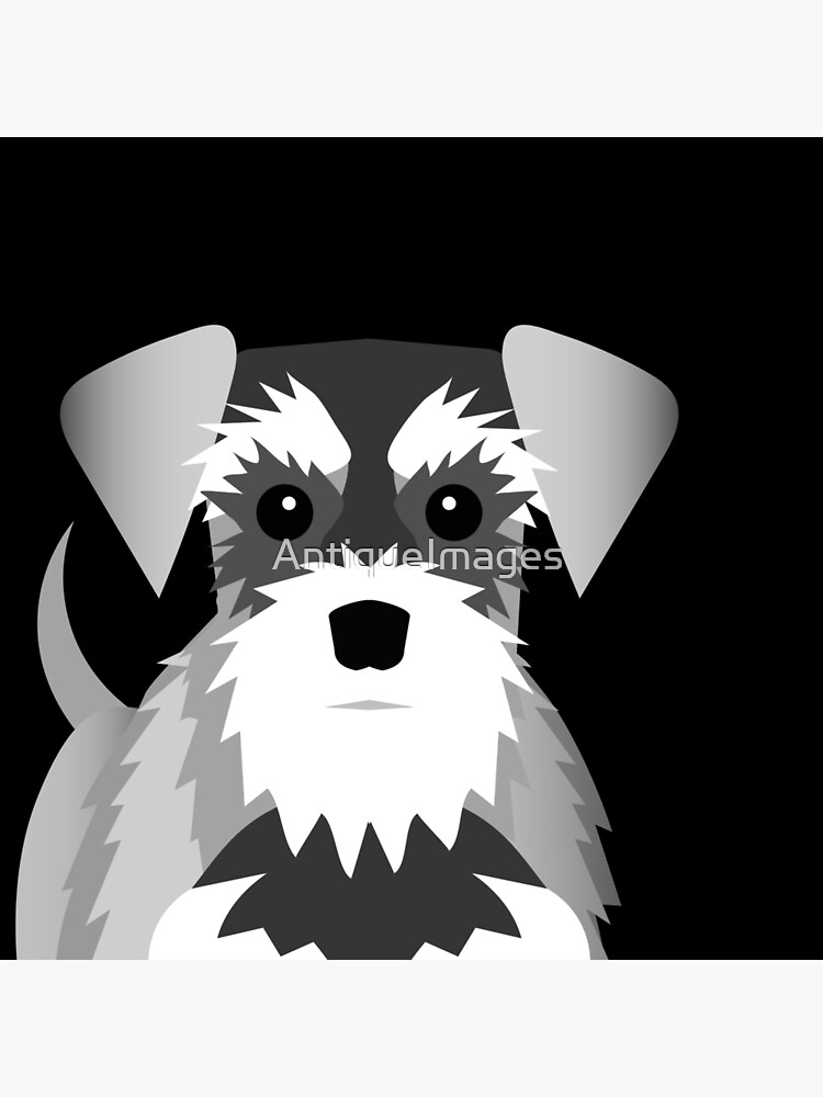 Schnauzer by AntiqueImages