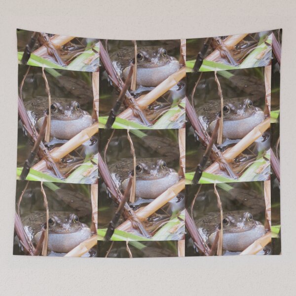 Item preview, Frog (Something Different) designed and sold by BsPhotographs.
