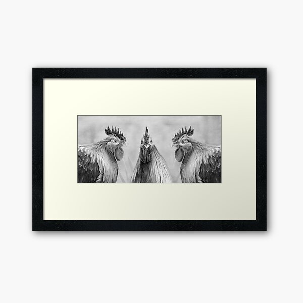 Hen Party, Gulp! Black And White Framed Art Print