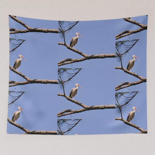 Item preview, Lone Ibis on a Perch designed and sold by 2CrabbySisters.