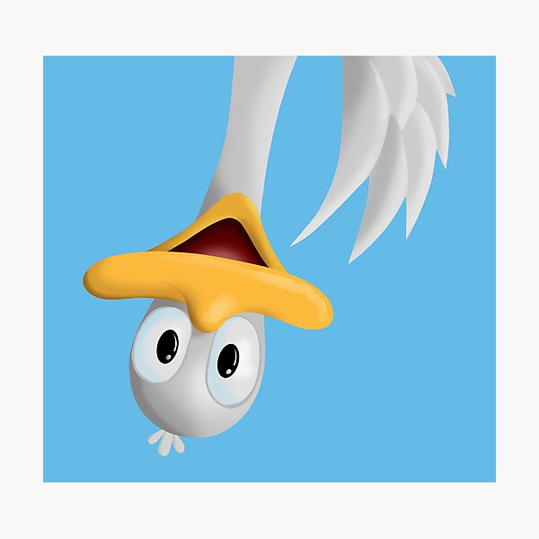 Hello Goose! Photographic Print