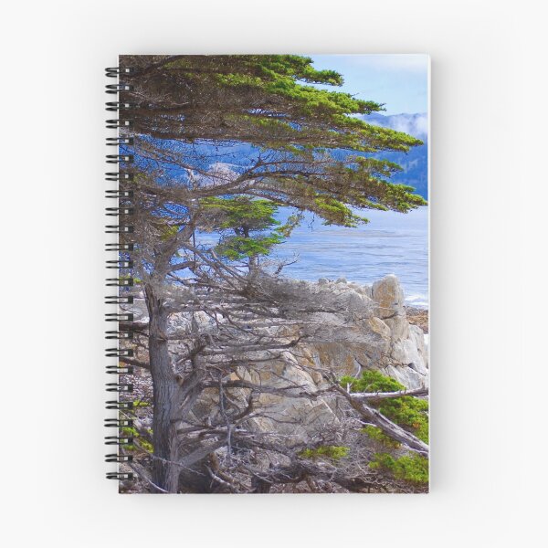 Item preview, California Dreams designed and sold by Carol Barona.