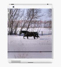 If you're not from the Prairie... iPad Case/Skin