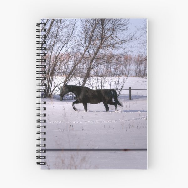 Item preview, If you're not from the Prairie... designed and sold by Larry Trupp.