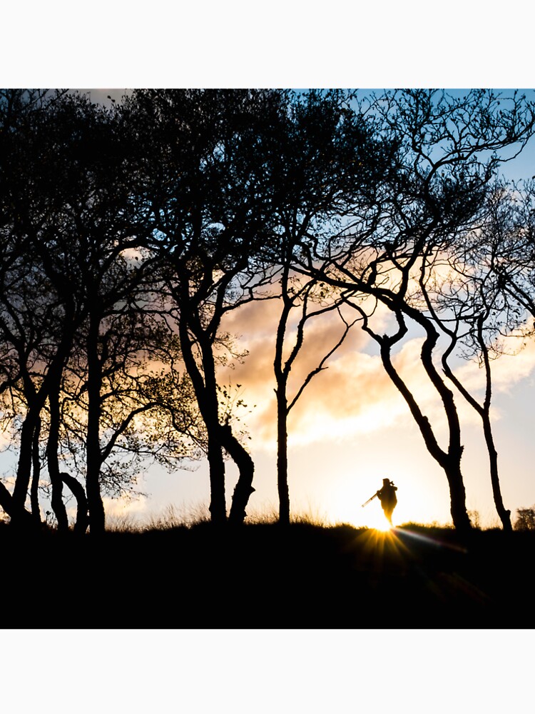 « Le photographe » par patricemestari