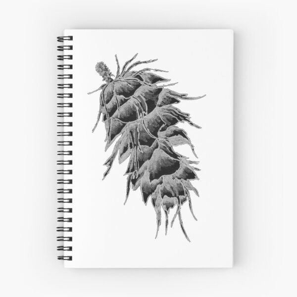 Item preview, Copy of Doug Fir Cone designed and sold by MWichert.