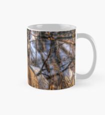Curiosity!!! Mug