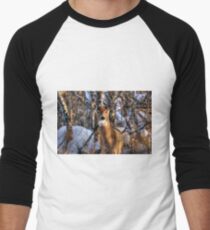 Curiosity!!! Men's Baseball ¾ T-Shirt