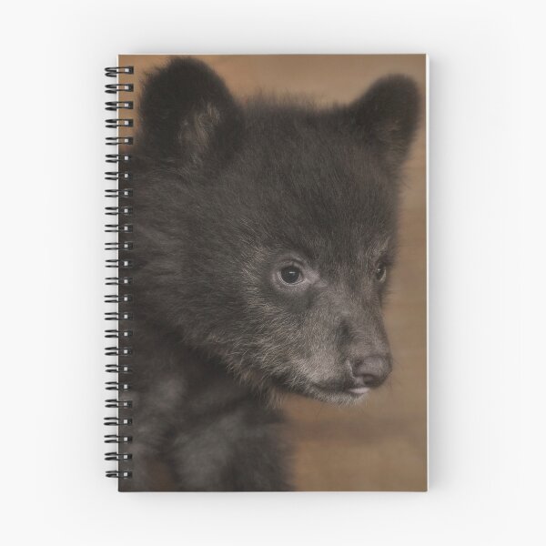 Item preview, Black Bear Cub Portrait designed and sold by Karen Peron.