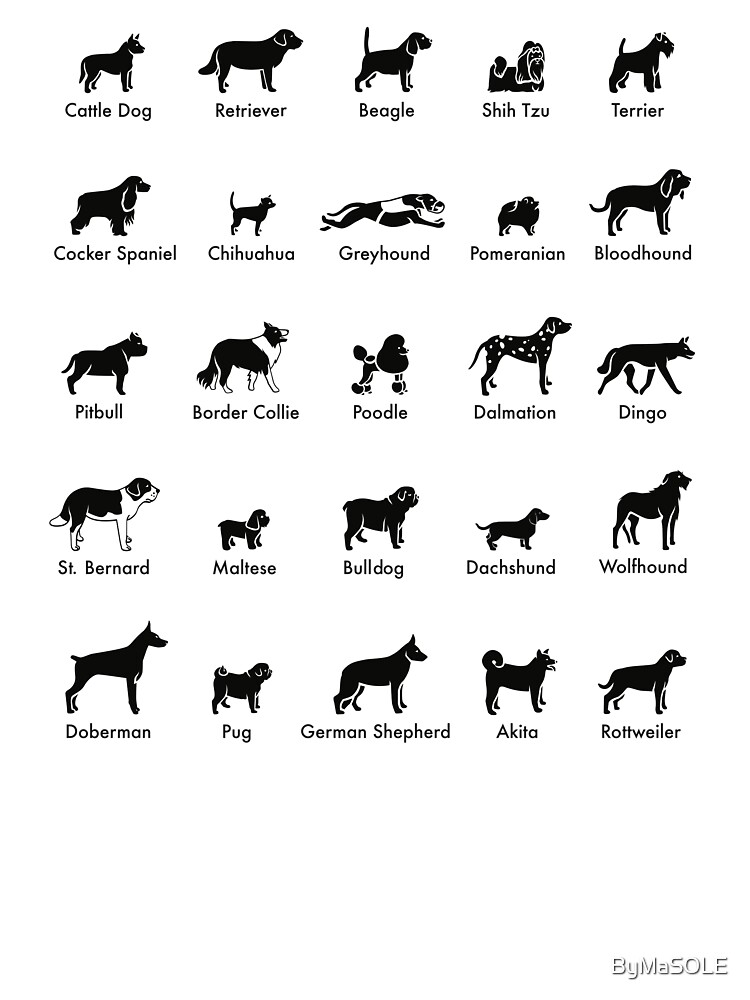 all dog breed name with pic
