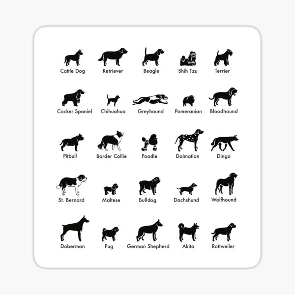 Welsh Corgi auto pegatinas Sticker Adhesivo líneas generales silueta con ornament