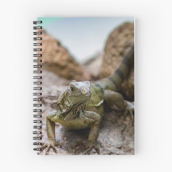 Item preview, Reptilia 3 designed and sold by John Velocci.