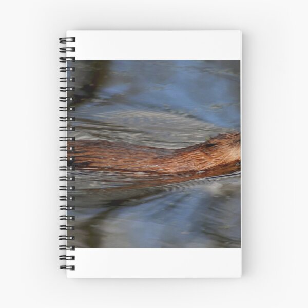 Item preview, Will it be a Photo Finish? designed and sold by Larry Trupp.