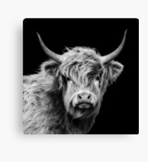 Highland Cow In Black And White Canvas Print