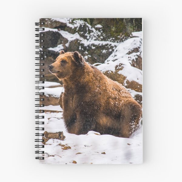 Artikelvorschau, Brauner Grizzlybär im Schnee entworfen und verkauft von bittervictory.