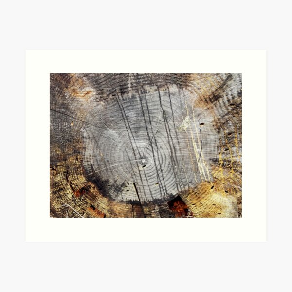 Time Line Adelaide Hills Wine Region - Fleurieu Peninsula by South Australian artist Avril Thomas Art Print