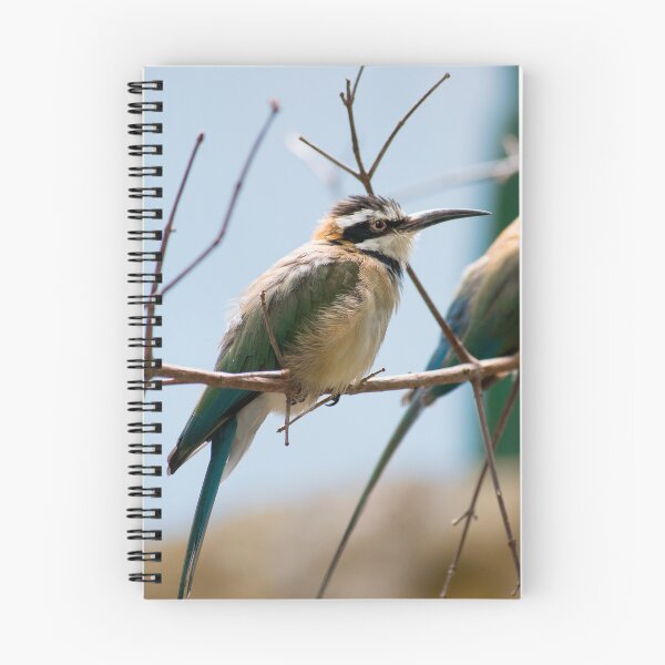 Artikelvorschau, Weiß-Throated Bienen-Esser-Vogel auf einer Niederlassung entworfen und verkauft von bittervictory.