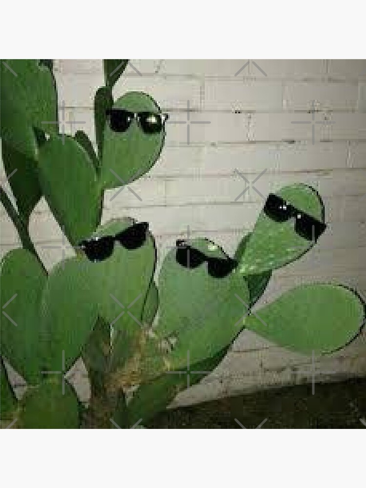 Cacti with Sunglasses low-resolution meme cursed image