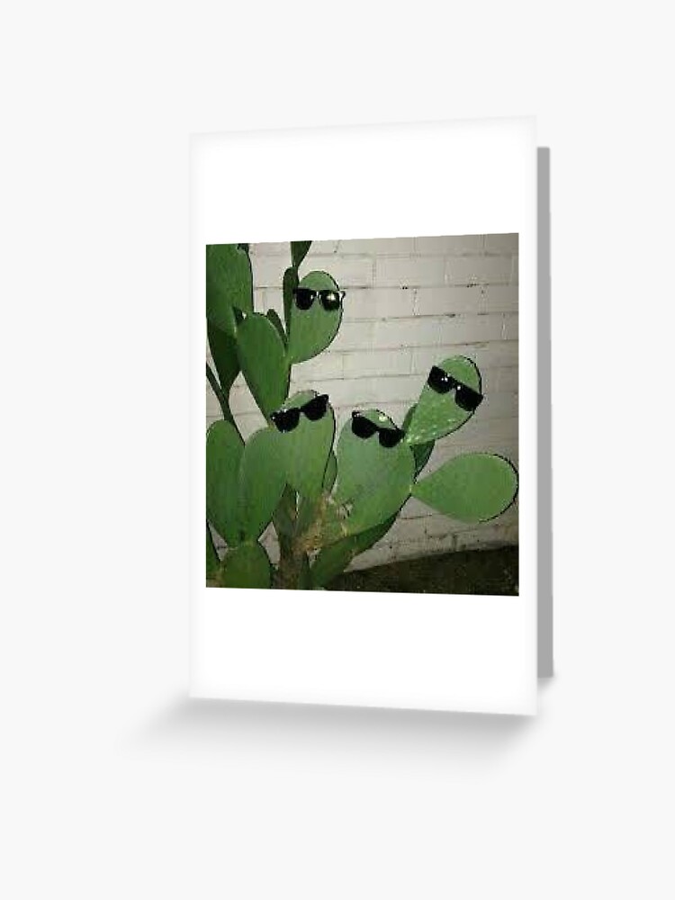 Cacti with Sunglasses low-resolution meme cursed image