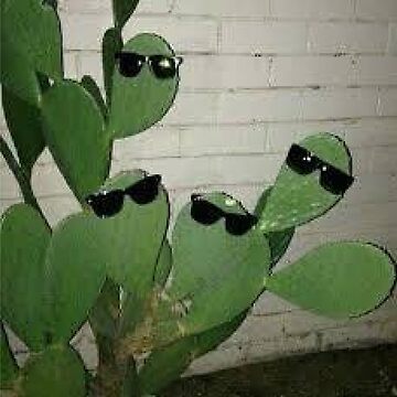 Cacti with Sunglasses low-resolution meme cursed image Drawstring Bag